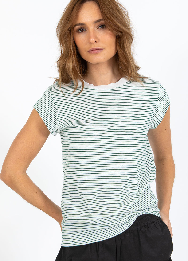 CC Heart CC HEART ELLEN STREIFEN KURZARM T-SHIRT T-Shirt Green stripe - 447