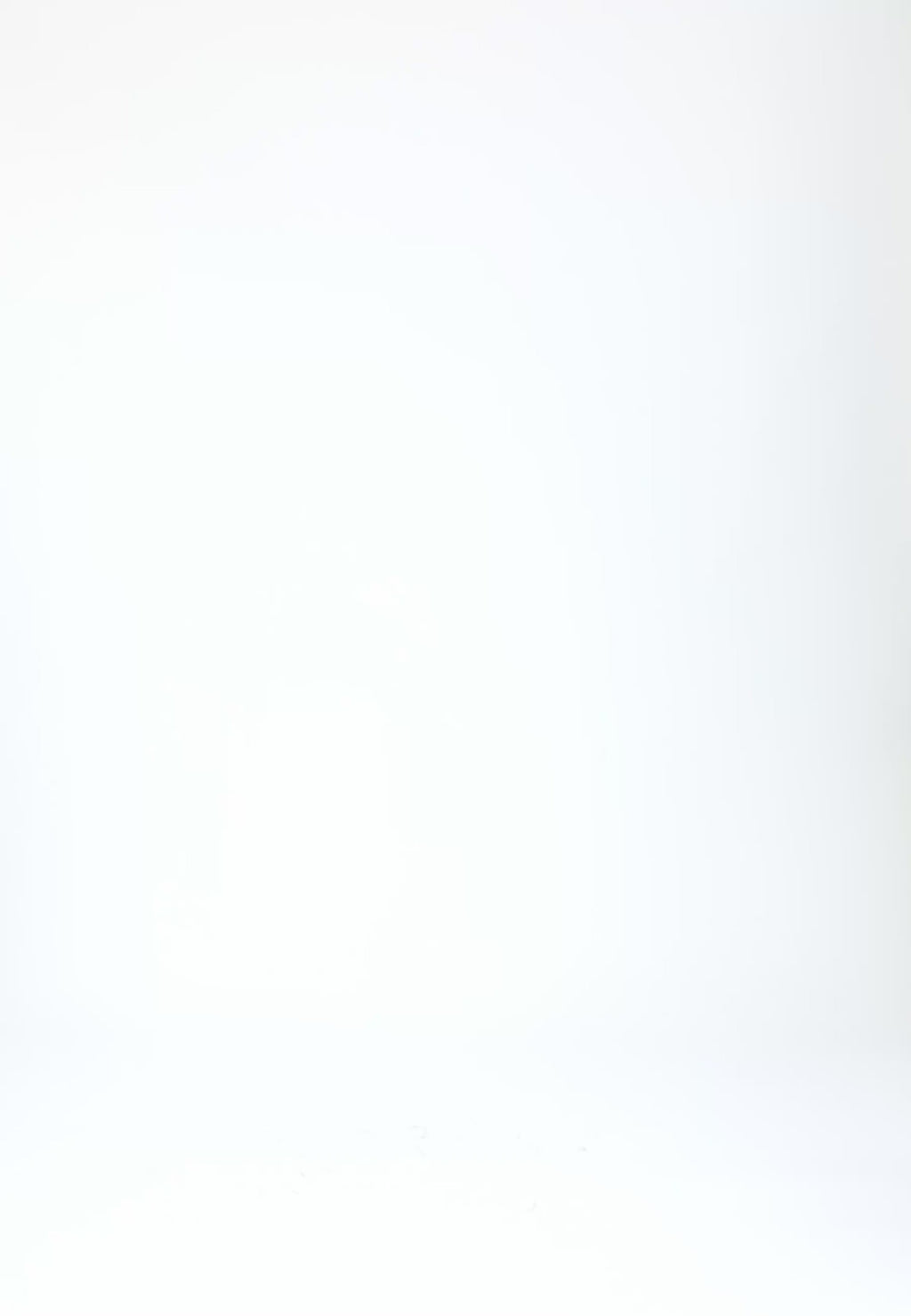 Coster Copenhagen BLUMENSTRUKTURHEMD Shirt/Blouse Blue denim flower - 945