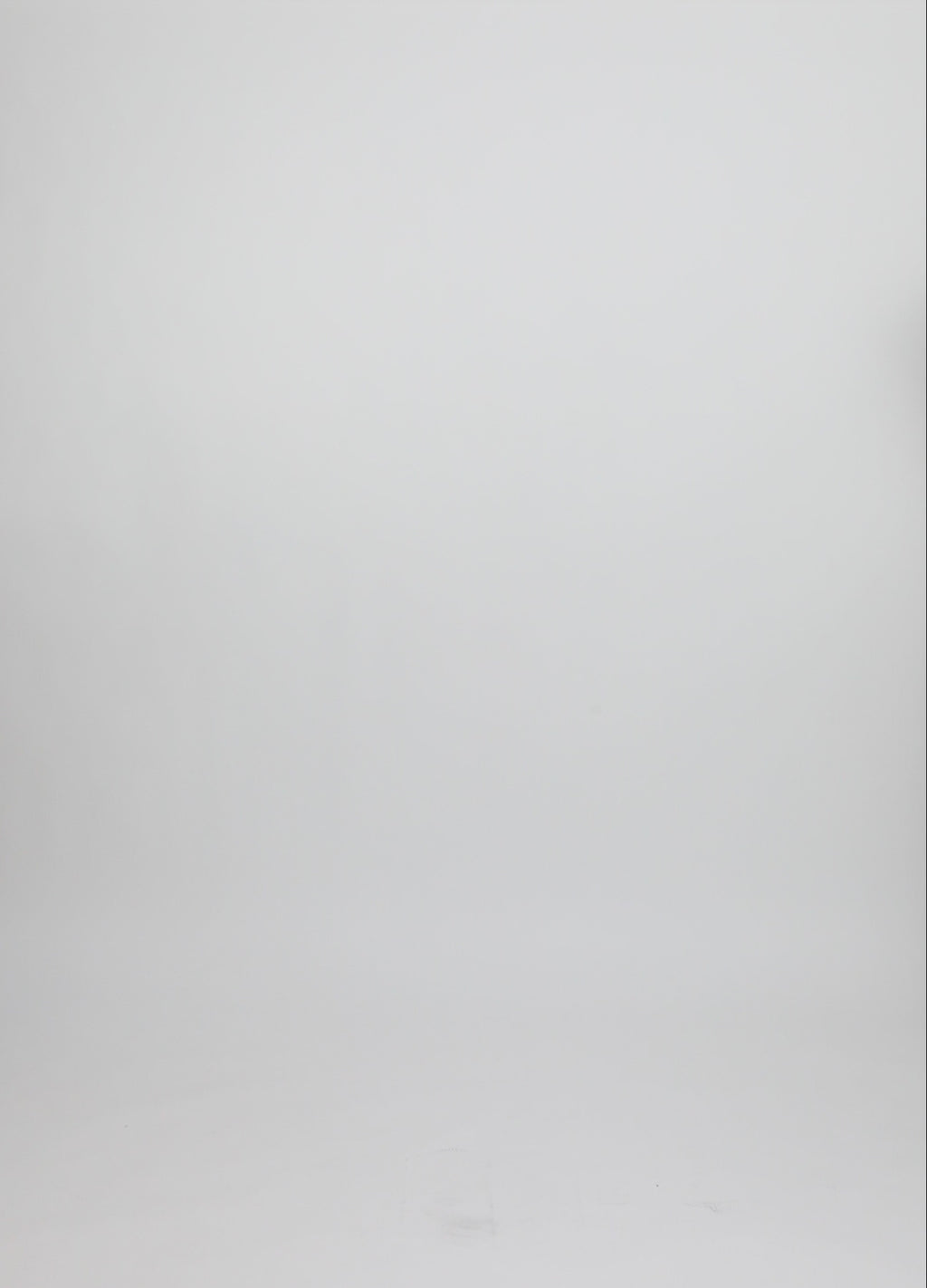 CC Heart CC HEART HAZEL RÜSCHENHEMD BLUSE Shirt/Blouse Creme - 241