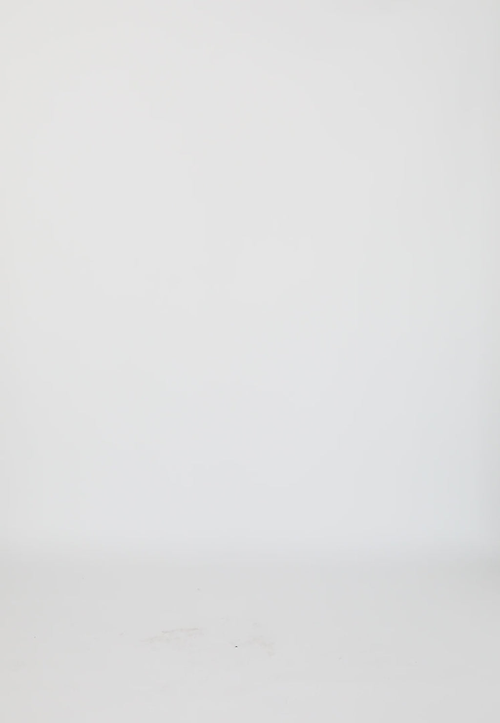 Coster Copenhagen LEO-HERZ-T-SHIRT T-Shirt White - 200