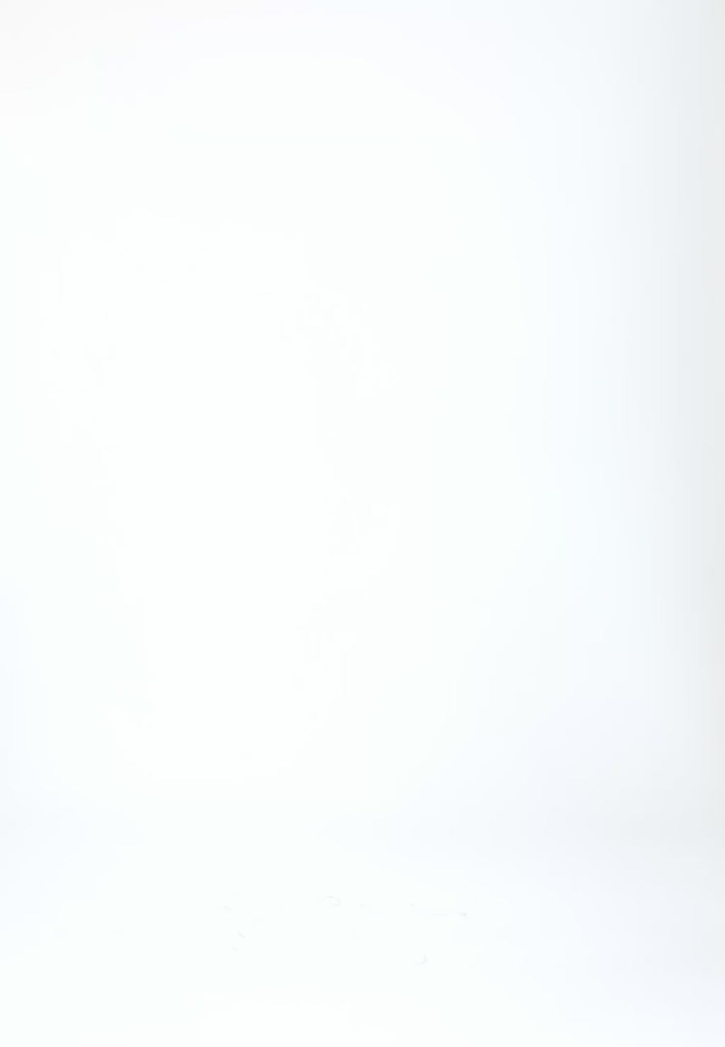 Coster Copenhagen LOGO ELASTISCHER GÜRTEL Accessories Dusky blue - 521 (silver buckle)