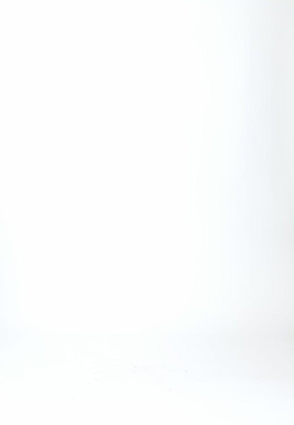 Coster Copenhagen MELIERTES STRICK Knitwear Lime - 463