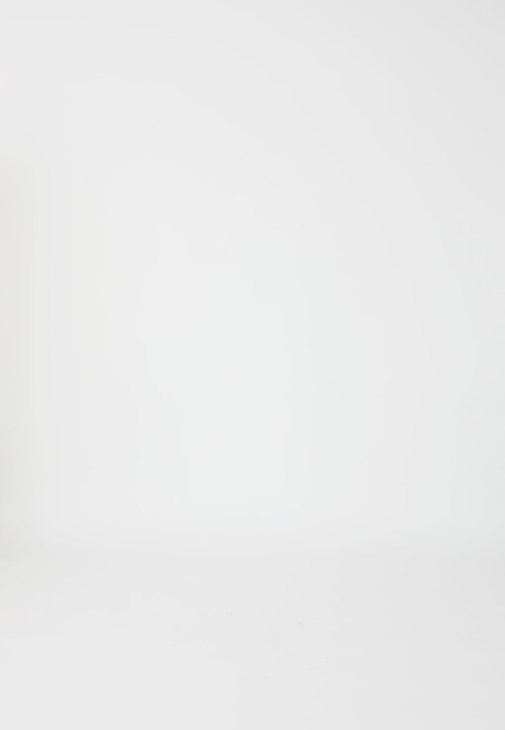 Coster Copenhagen ENG ANLIEGENDES KLASSISCHES HEMD Shirt/Blouse White - 200