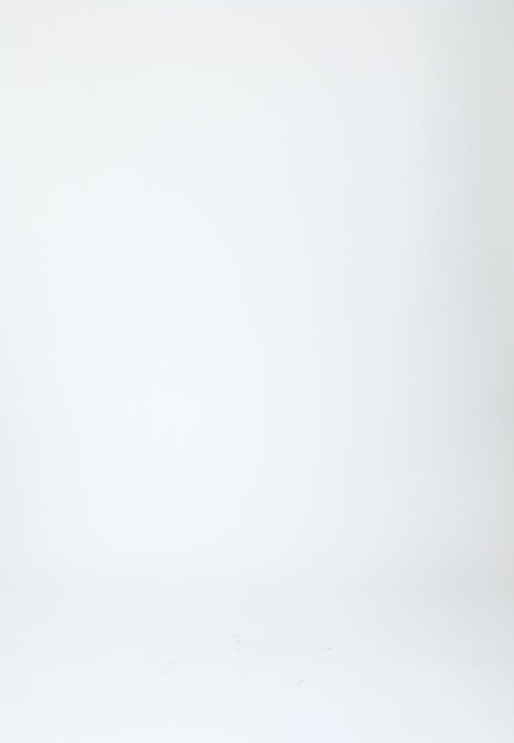 Coster Copenhagen KLASSISCHES HEMD - BOXY FIT Shirt/Blouse Blue stripes - 595