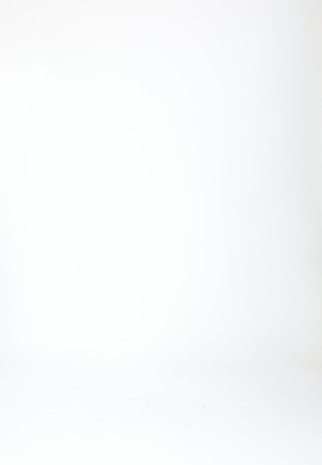 Coster Copenhagen TRANSPARENTE BLUSE MIT BLUMEN Shirt/Blouse Lime - 463