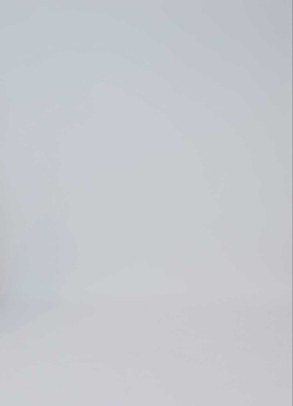 CC Heart CC HEART JAMIE FLEECE WESTE Vest Off White - 202